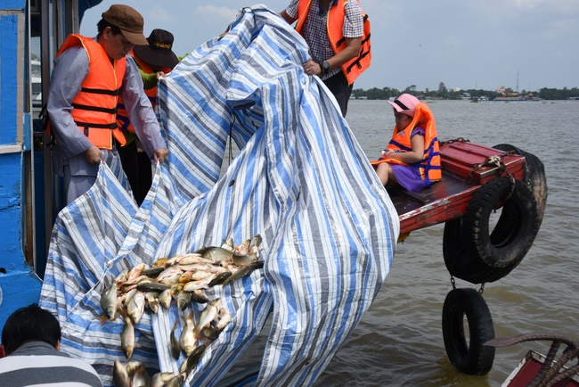 Offering to Quoc Thoi Pagoda and freeing creatures in Ben Tre