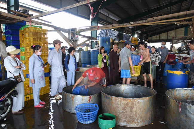 Offering to Quoc Thoi Pagoda and freeing creatures in Ben Tre