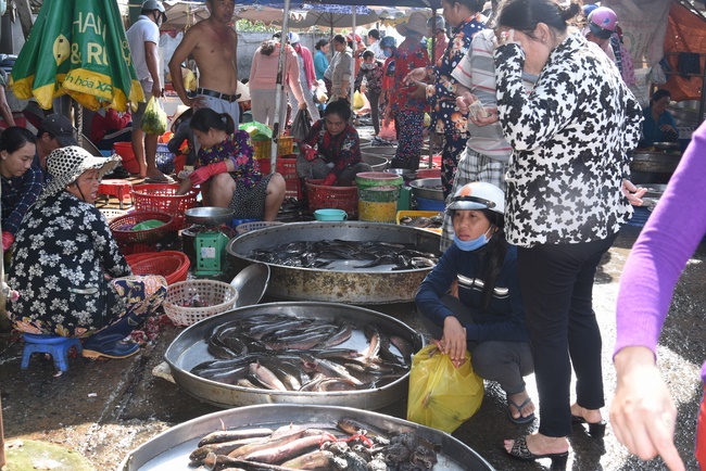 Offering to Quoc Thoi Pagoda and freeing creatures in Ben Tre