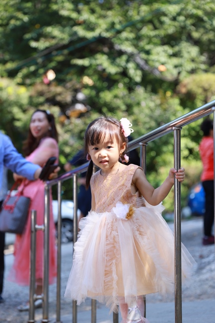 Buddhist Wedding Ceremony in Korea