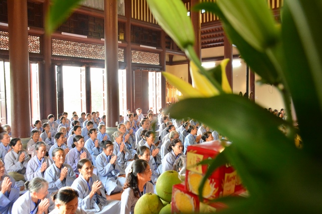 The second cultivation day of three day meditating - reciting the Buddha's name at Tay Khanh Pagoda