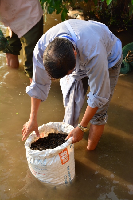 The 3rd day of three day meditating - reciting the Buddha's name at Tay Khanh Pagoda