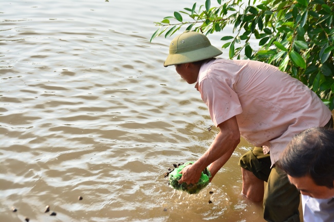 The 3rd day of three day meditating - reciting the Buddha's name at Tay Khanh Pagoda