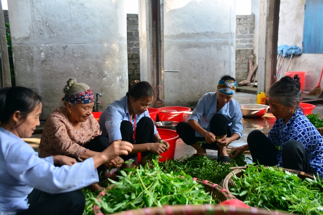 The 3rd day of three day meditating - reciting the Buddha's name at Tay Khanh Pagoda