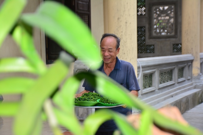 The 3rd day of three day meditating - reciting the Buddha's name at Tay Khanh Pagoda