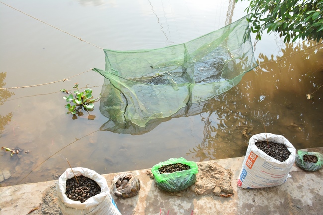 The 3rd day of three day meditating - reciting the Buddha's name at Tay Khanh Pagoda