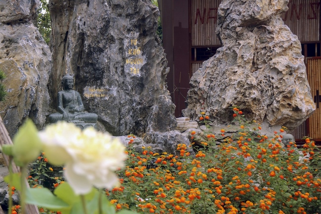 The retreat of Tea Meditation: Comeback to listening” at Hoa Phuc Pagoda.