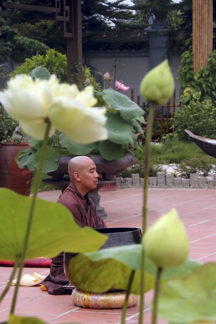 The retreat of Tea Meditation: Comeback to listening” at Hoa Phuc Pagoda.