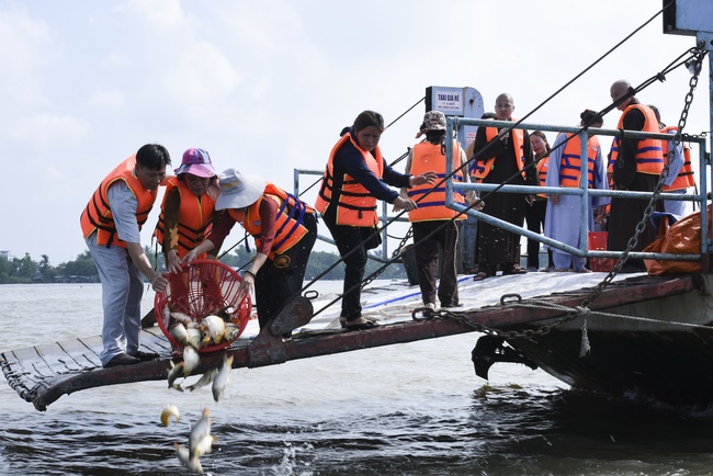 Freeing creatures at Co Bac ferry in Can Tho