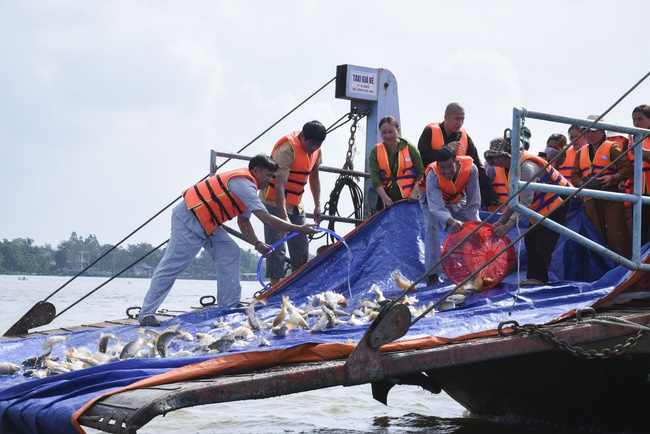 Freeing creatures at Co Bac ferry in Can Tho