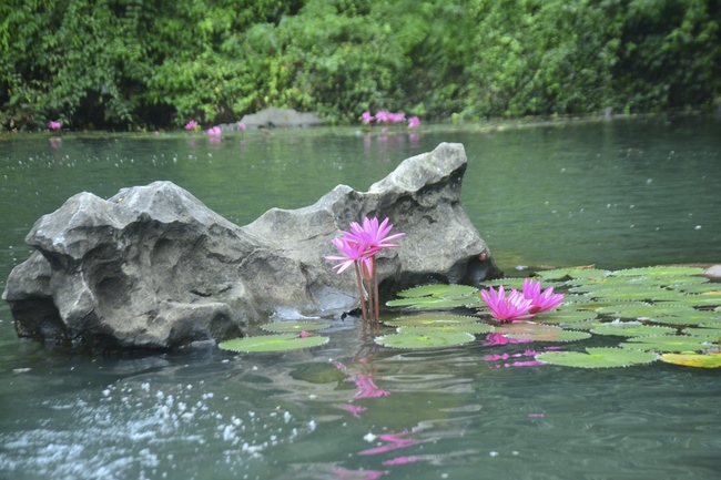 Ngày thứ 4 – chuyến hành hương tâm linh tại Ninh Bình