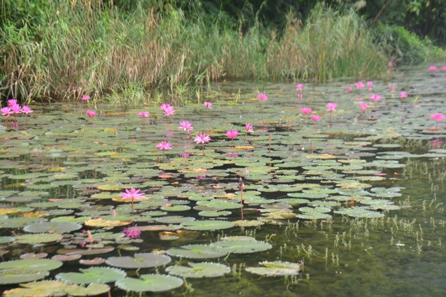 Ngày thứ 4 – chuyến hành hương tâm linh tại Ninh Bình