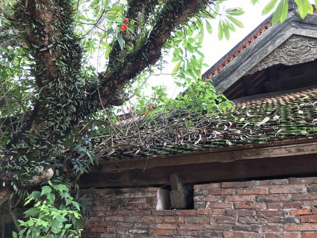 Ngày cuối chuyến hành hương tâm linh