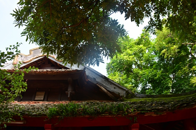 Ngày cuối chuyến hành hương tâm linh