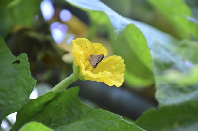 Ngày cuối chuyến hành hương tâm linh