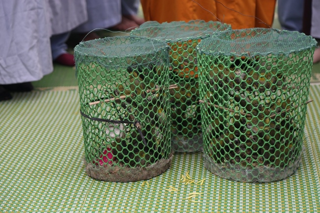 The  ceremony putting the Buddha statue at Dong Cao Pagoda