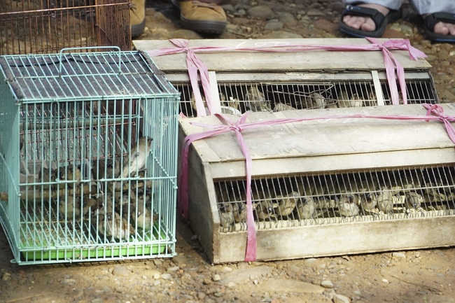 Preaching Dharma in Taoyuan, Taiwan