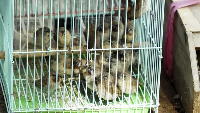 Preaching Dharma in Taoyuan, Taiwan