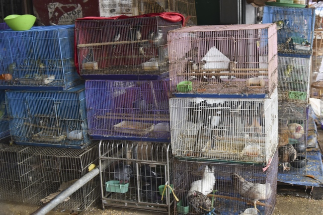 The 5th Day - charity trip in Ha Tinh