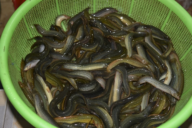 The 5th Day - charity trip in Ha Tinh