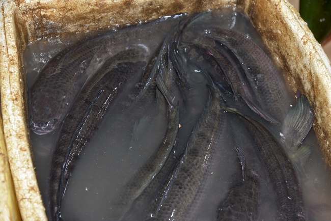 The 5th Day - charity trip in Ha Tinh