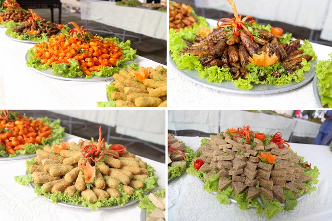 The Patriarchs' Death Anniversary at Dong Cao Pagoda - Thanh Hoa Province