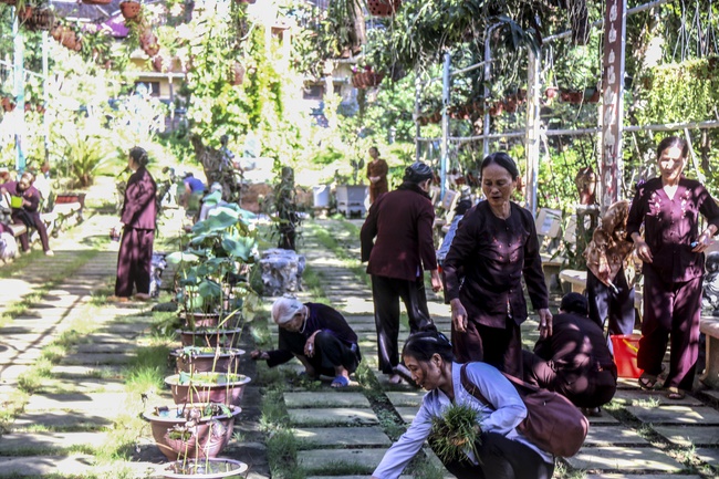 Ten-day Cultivation Course at Hoa Phuc Pagoda.