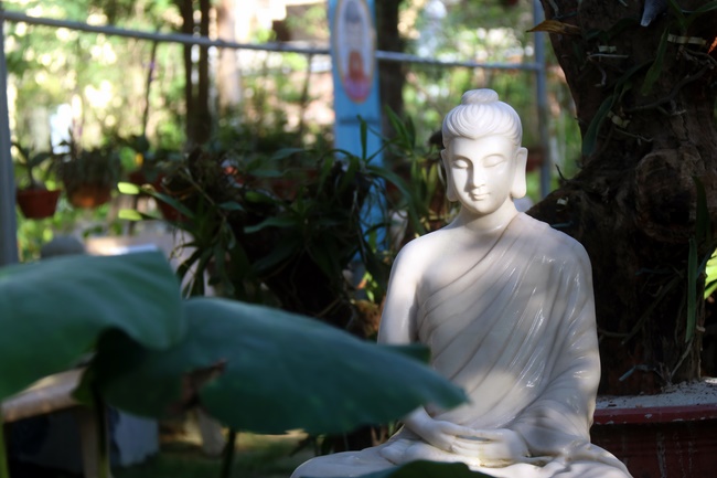 Ten-day Cultivation Course at Hoa Phuc Pagoda.