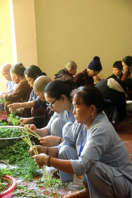 Ten-day Cultivation Course at Hoa Phuc Pagoda.