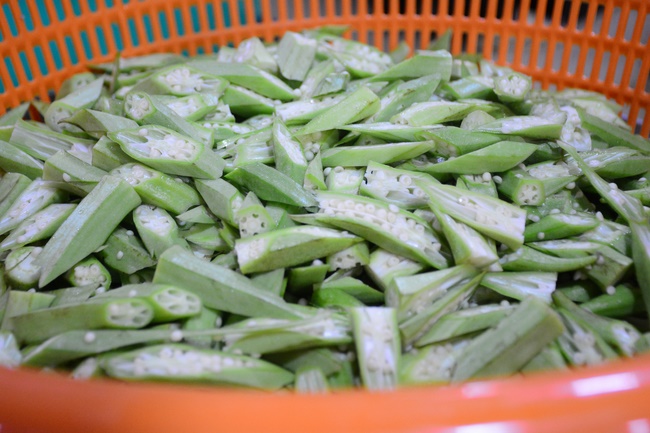 Người công quả - sự hi sinh thầm lặng