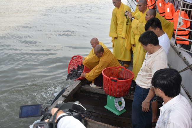 Freeing creatures on Van Phat yacht in Can Tho