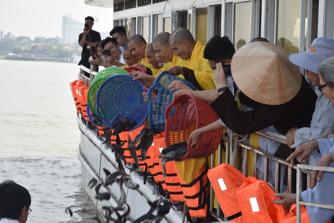 Freeing creatures on Van Phat yacht in Can Tho