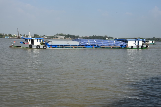 Freeing creatures on Van Phat yacht in Can Tho