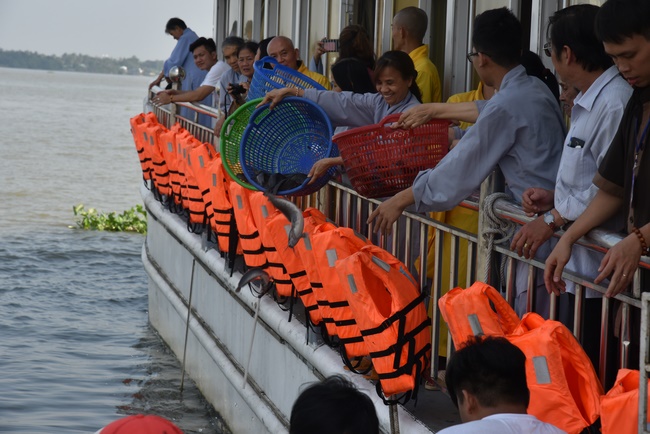 Freeing creatures on Van Phat yacht in Can Tho