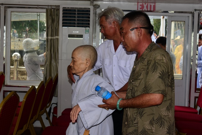 Freeing creatures on Van Phat yacht in Can Tho