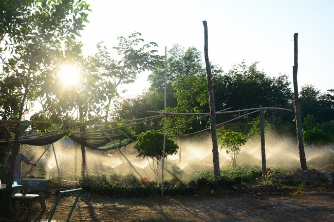 Repentant Ceremony at Dang Phap Pagoda, Binh Phuoc