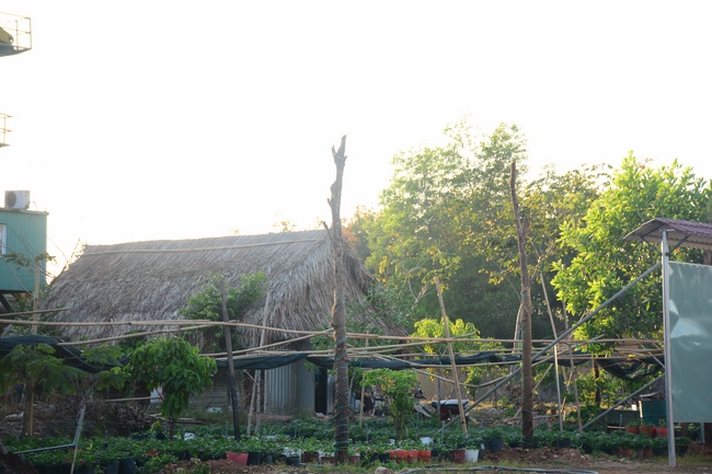 Repentant Ceremony at Dang Phap Pagoda, Binh Phuoc