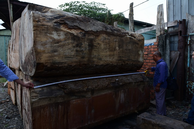 Visiting pagodas in Vung Tau and buying wood to make Buddha statue