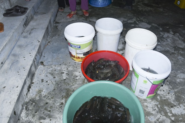 The 6th Day - charity trip in Thua Thien Hue