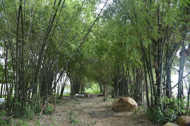 The 7th Day - Northern charity trip in Thanh Hoa