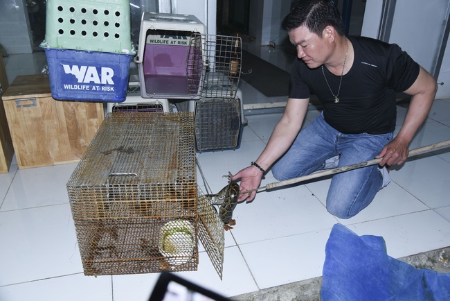 The rite of burial in water and freeing creatures in Ba Lua port, Hoc Mon