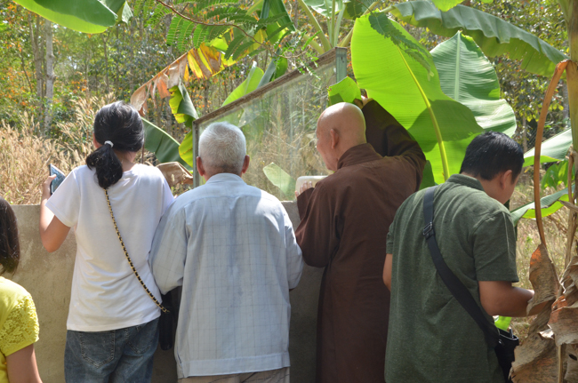 Granting lucky envelop on Tet occasion and handing in a python