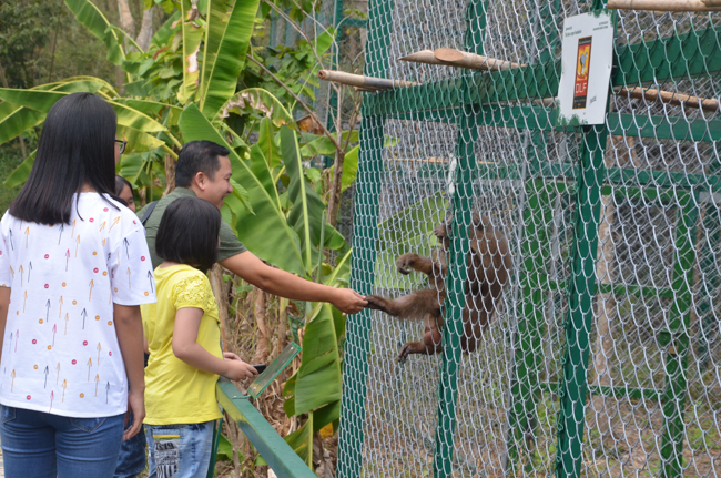 Granting lucky envelop on Tet occasion and handing in a python