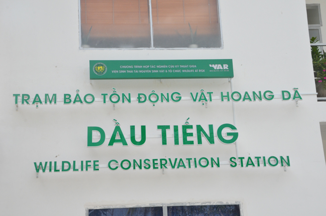 Granting lucky envelop on Tet occasion and handing in a python