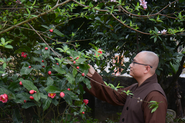 Lễ cầu an đầu năm tại chùa Tây Khánh – Thái Bình