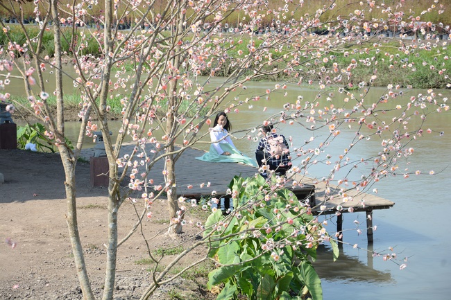 Tham quan Thủy Hoa Viên – Tây Ninh