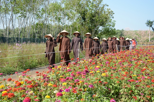 Tham quan Thủy Hoa Viên – Tây Ninh