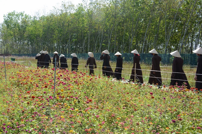 Tham quan Thủy Hoa Viên – Tây Ninh