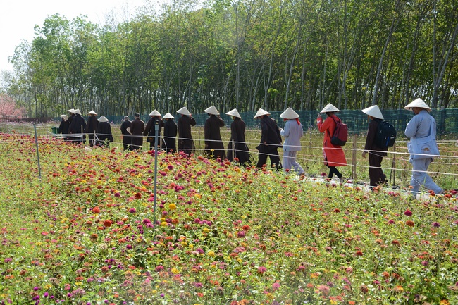 Tham quan Thủy Hoa Viên – Tây Ninh