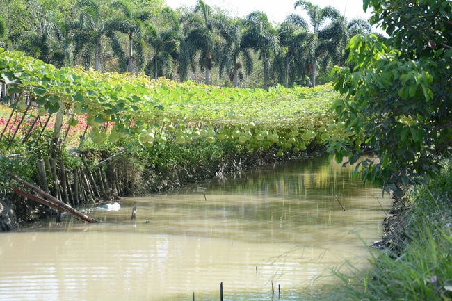 Tham quan Thủy Hoa Viên – Tây Ninh